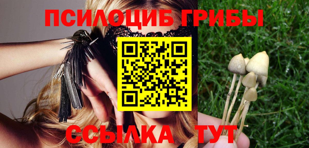 Галлюциногенные грибы Psilocybe  Артём  Галлюциногенные грибы Psilocybe 