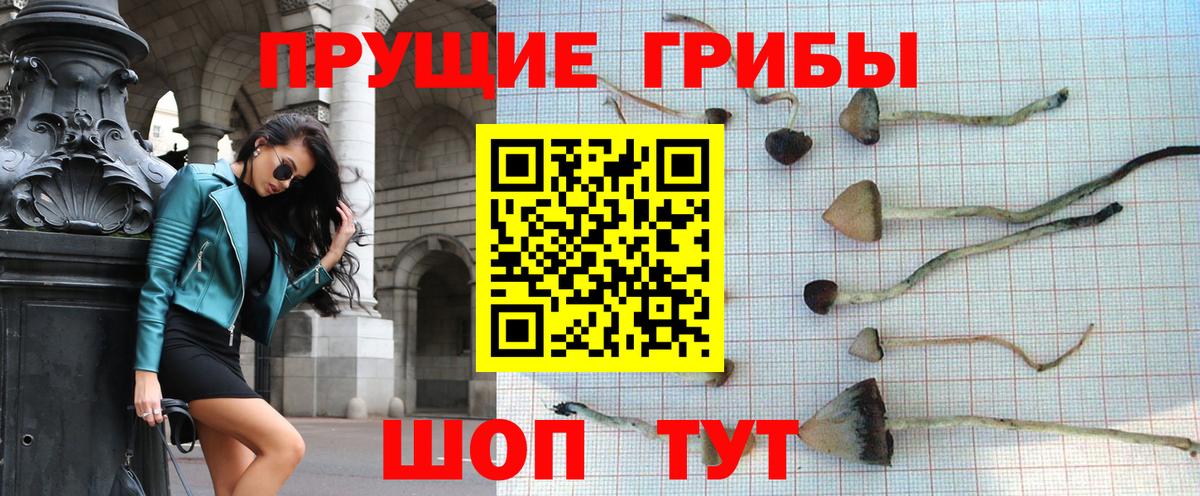 Артём  Галлюциногенные грибы MAGIC MUSHROOMS  Вход с VPN  Псилоцибиновые грибы ЛСД 